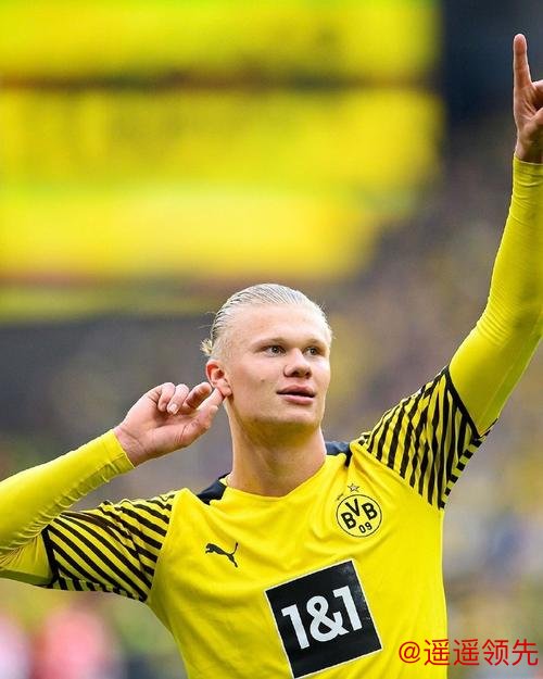 19岁锋线新星哈兰德加盟多特蒙德