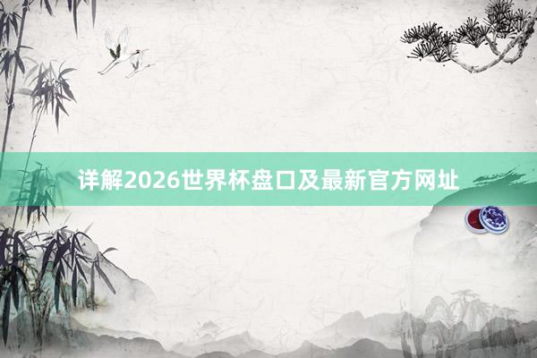 详解2026世界杯盘口及最新官方网址